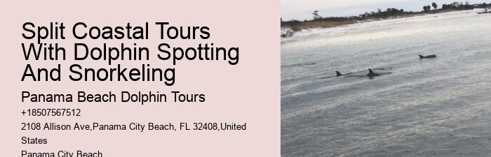 Split Luxury Snorkeling And Dolphin Charters