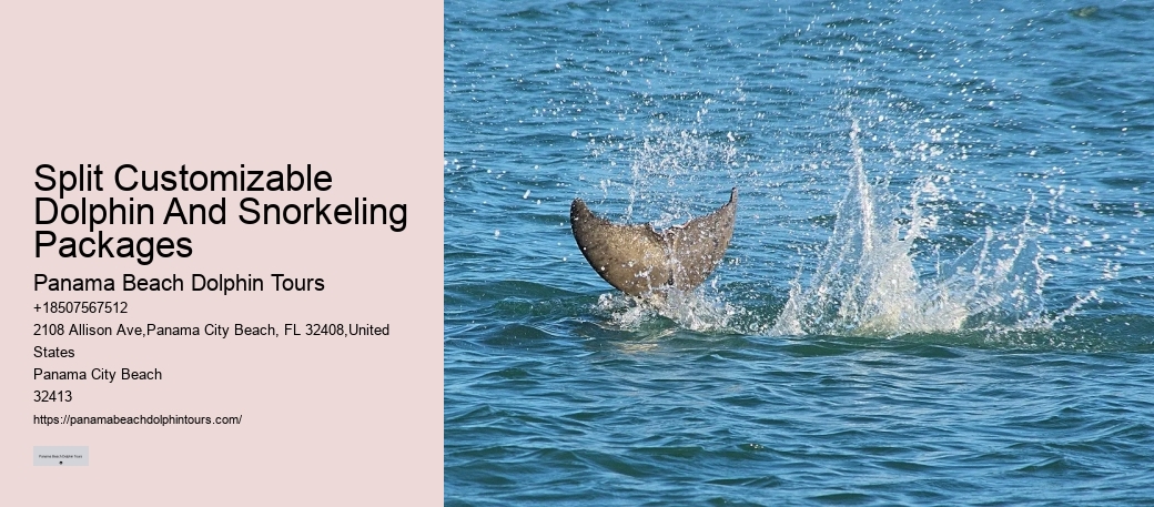 Do Dolphins Really Save Humans