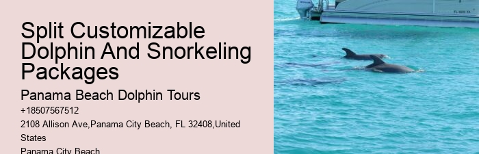 Are Panama City Beach dolphin tours available year-round