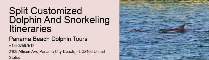 Split Customized Snorkeling And Dolphin Itineraries