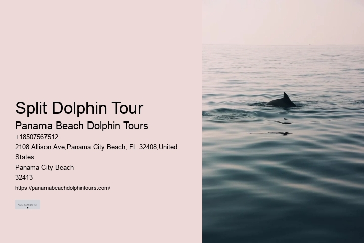 Dolphin Boat Trips PCB