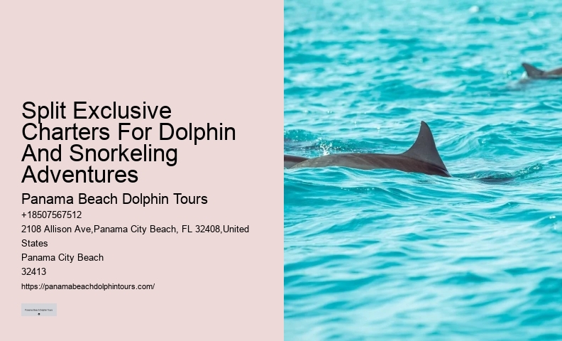Dolphin tours at Panama City Beach