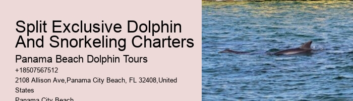Marine Mammals