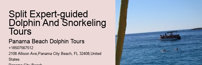 Charter Dolphin And Snorkeling Tours