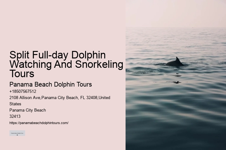 Split Guided Snorkel And Dolphin Watching