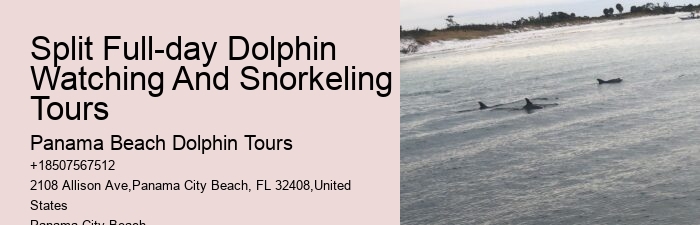 How Long Does The Dolphin Cruise Last