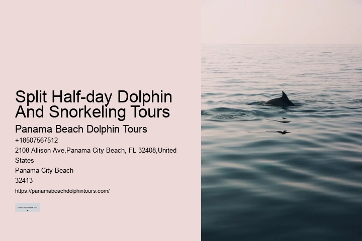 Split Private Yacht Rentals For Dolphin And Snorkeling Excursions