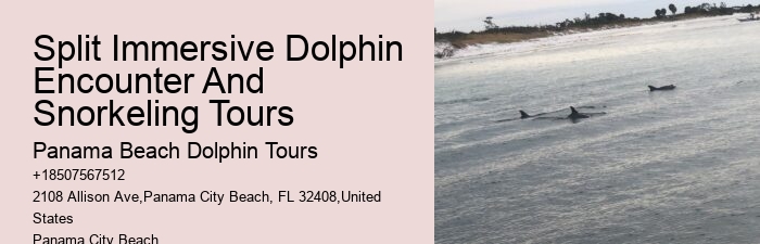 Dolphin Tours 30a