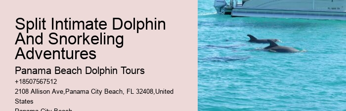 Split Dolphin Spotting And Snorkel Trips