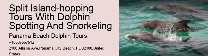 Dolphin Boat Adventures in PCB