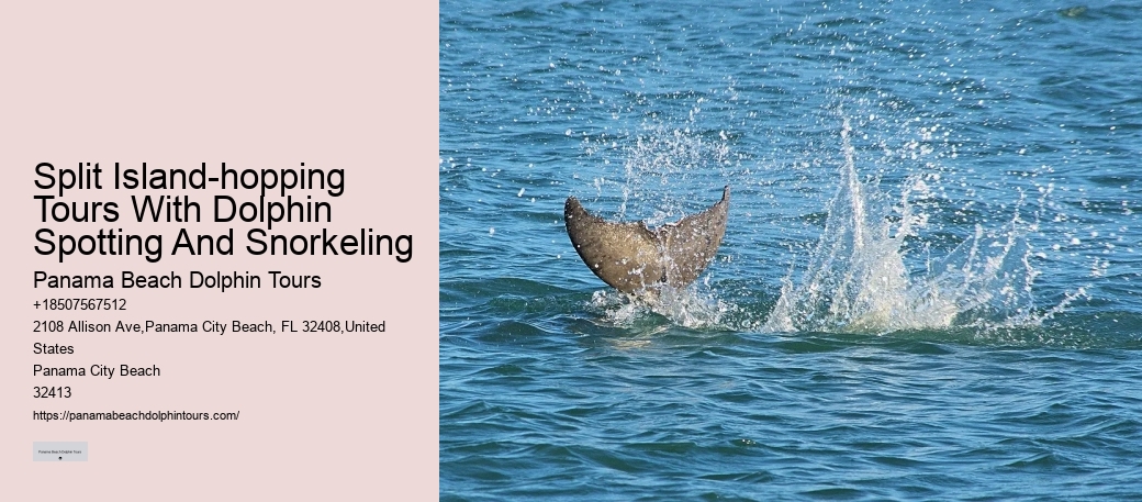 Do Dolphins Really Swim In Front Of Ships