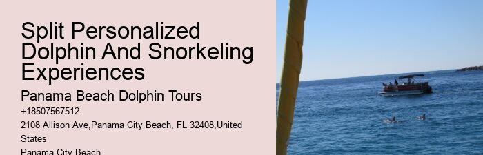 What should I bring with me on a dolphin tour in Panama City Beach