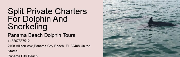 Panama City Dolphin Seafari Tours