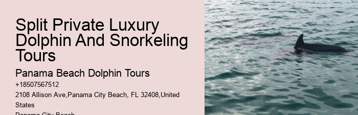 Split Adventure Tours Including Dolphin Watching And Snorkeling