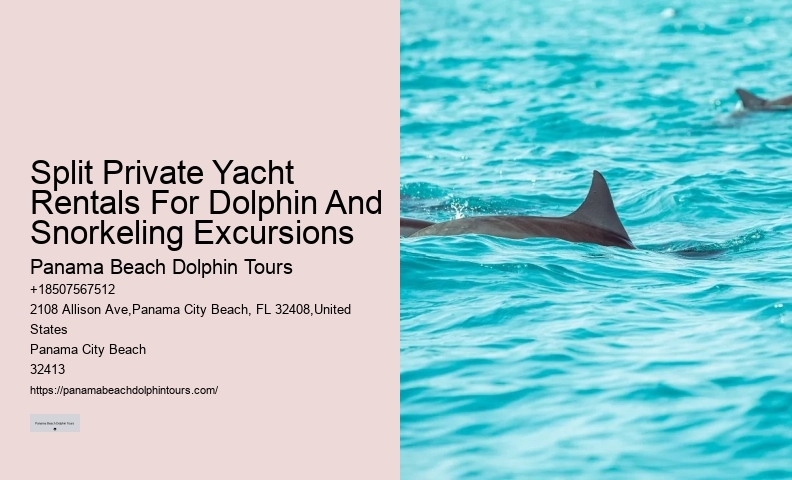 Split Thrilling Snorkeling And Dolphin Watching Charters