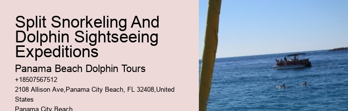 2 Hour Private Dolphin Tour