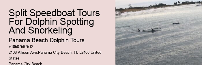 Panama City Beach dolphin expedition cruises