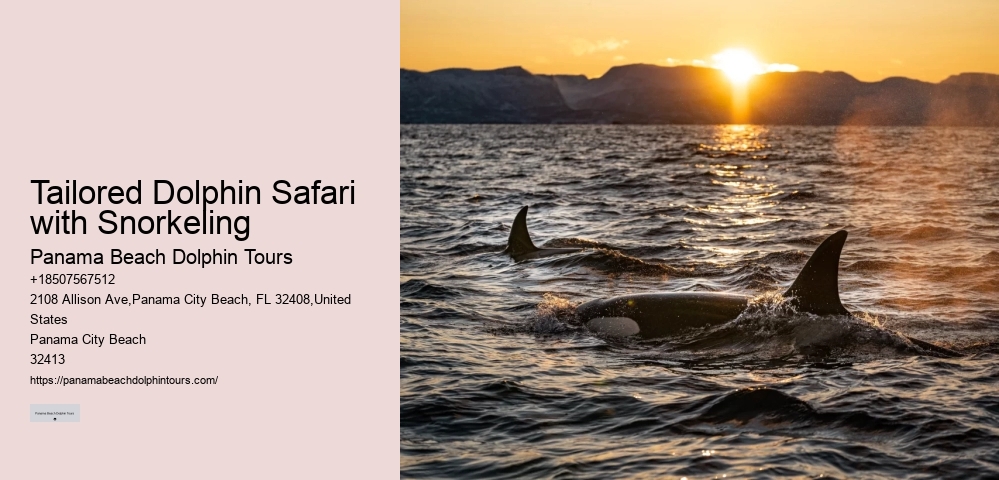 Dolphin Boat Snorkeling Tours In Panama City Beach