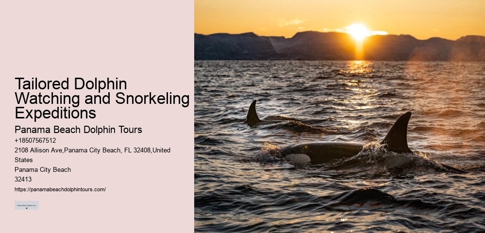Split Educational Dolphin And Snorkeling Tours
