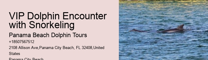 Are dolphin tours in Panama City Beach narrated by guides
