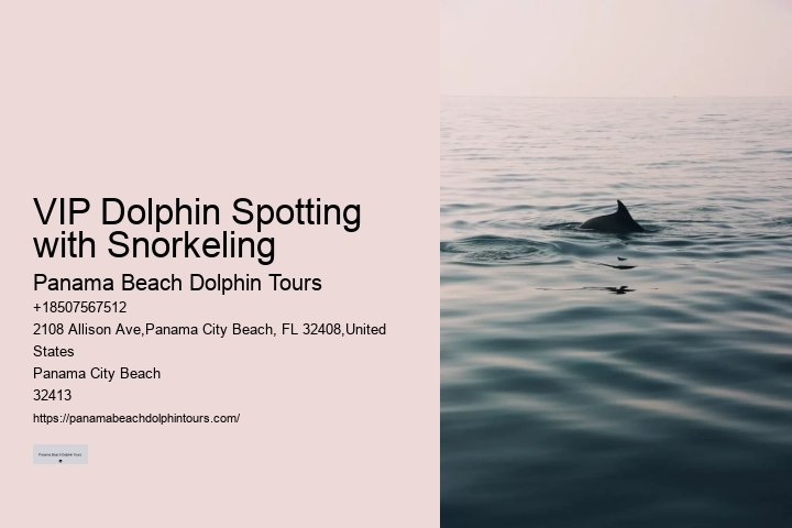 Can Dolphins Sense Human Pregnancy