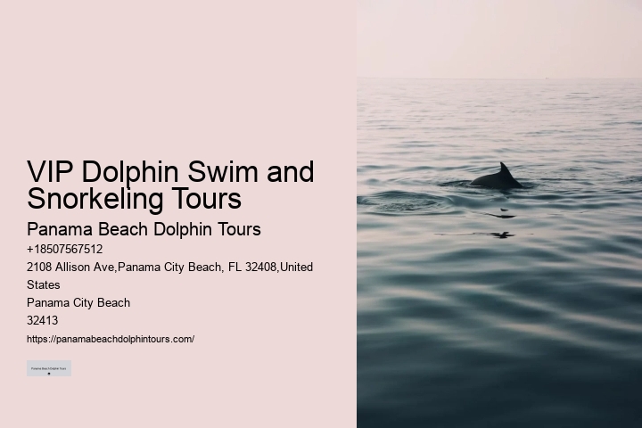 Split Wildlife Tours Featuring Dolphin Encounters And Snorkeling