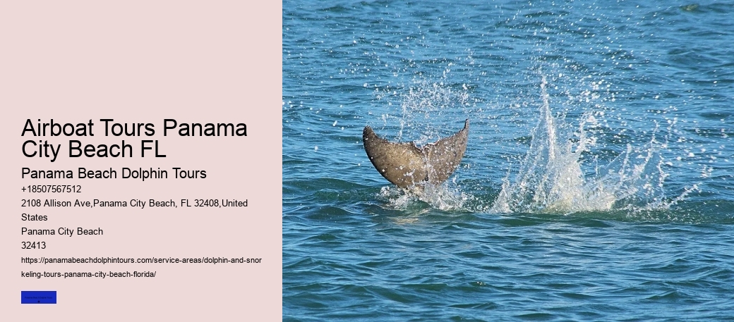 What You Can Do For Strandings