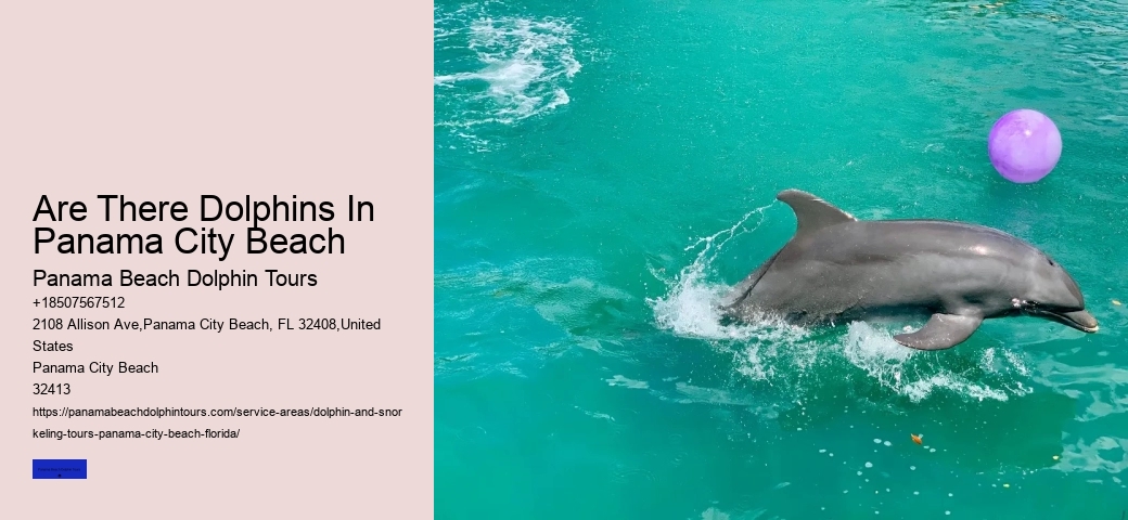 What Scares Dolphins Away