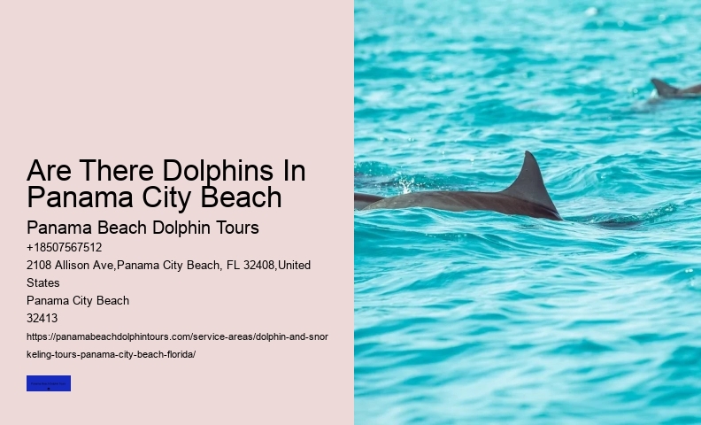 Boat Tours Panama City Beach