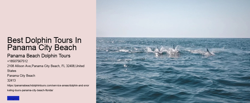 Dolphin Swim Ocean Secrets