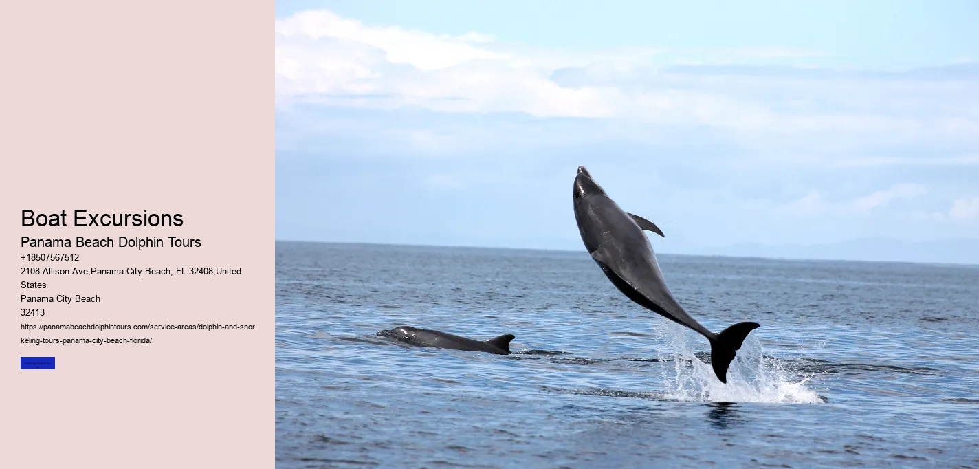 Panama City Beach Dolphin Sunset Cruise