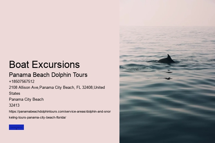Dolphin Sightings