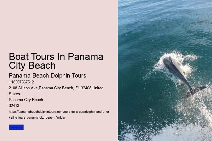 Dolphin Sightseeing Tour Panama City Beach