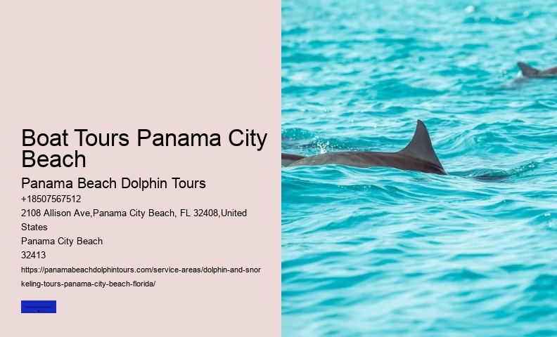 Beach Dolphin