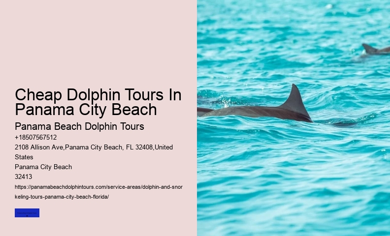 Dolphin Tales