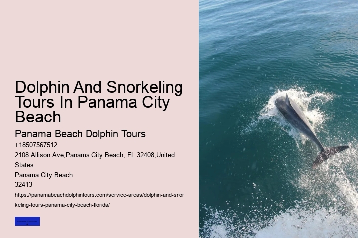 Dolphin Tours In Panama City Beach Florida