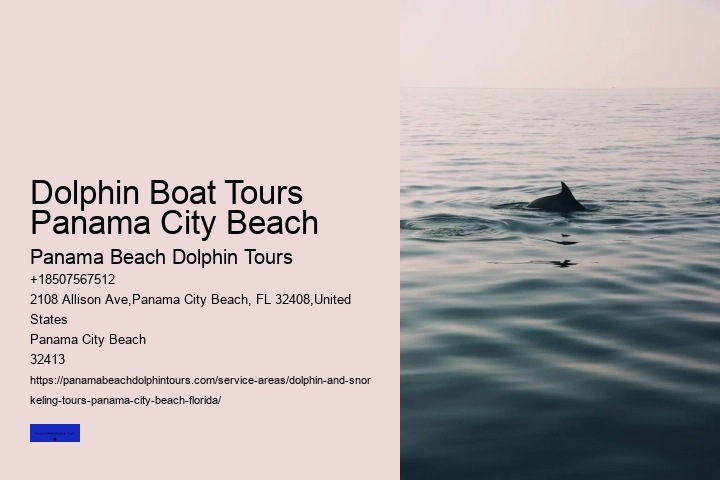 Is It Safer To Swim With Dolphins Or Sharks
