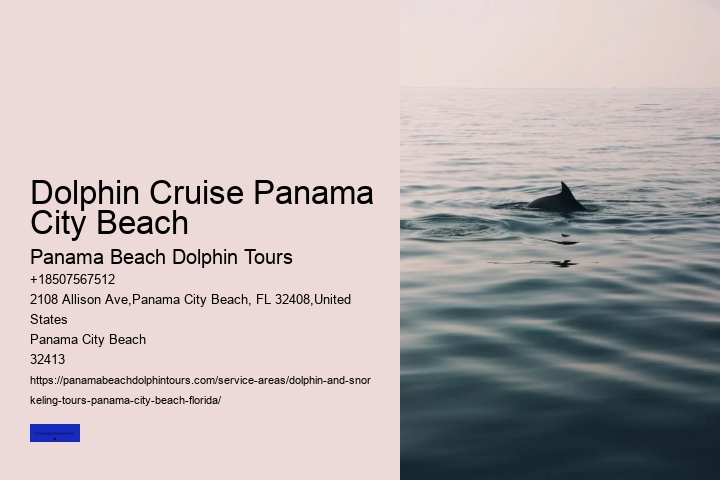 Daytime Dolphin Cruise Panama City Beach