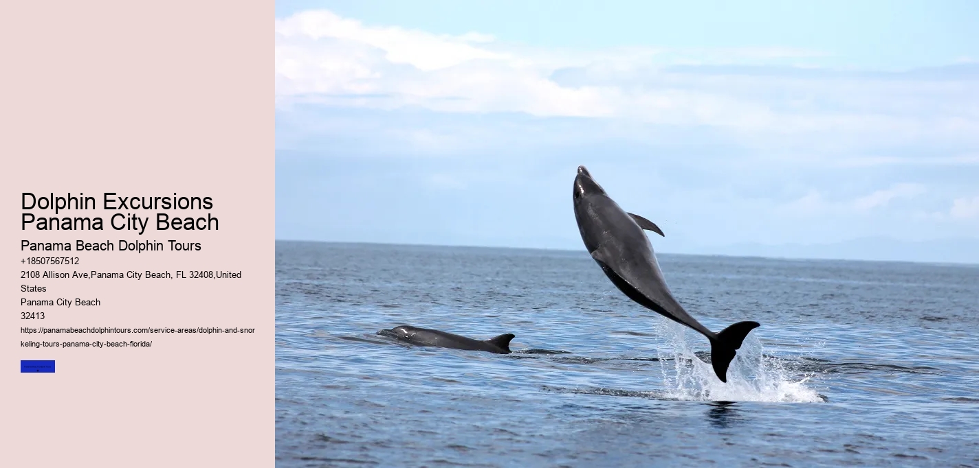 Where Is The Best Place For Dolphin Watching