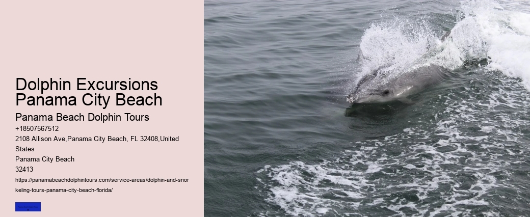 Do Dolphins Know When You're Pregnant