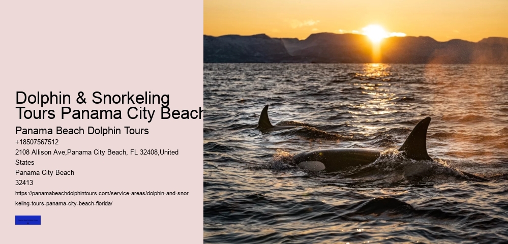 City Beach