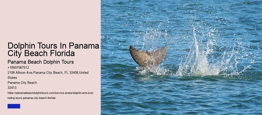 Panama City Beach Dolphin Tours & More Reviews