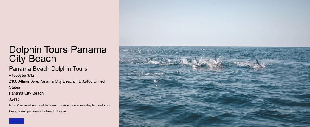 Private Boat Tours Panama City Beach