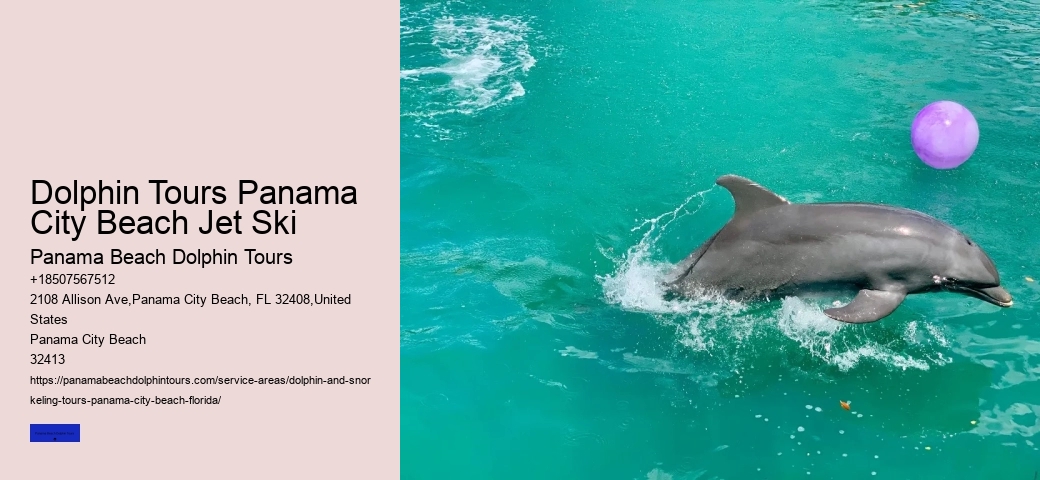 Private Dolphin Tours Panama City Beach