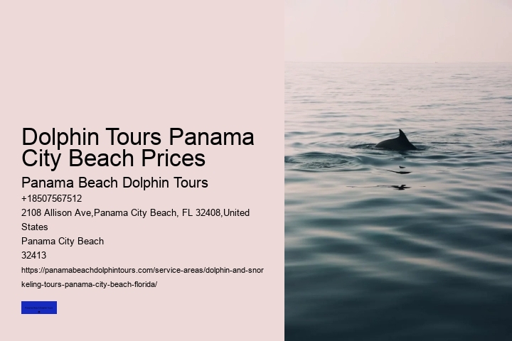 Do Dolphins Swim Close To Shore At Night