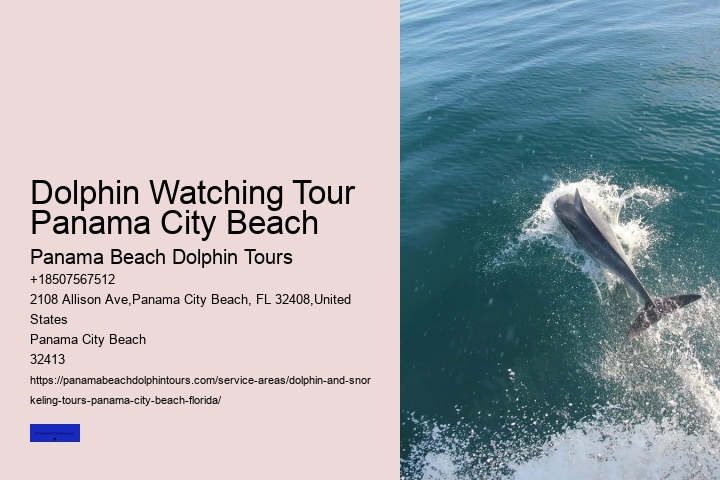 How Ethical Are Dolphin Shows