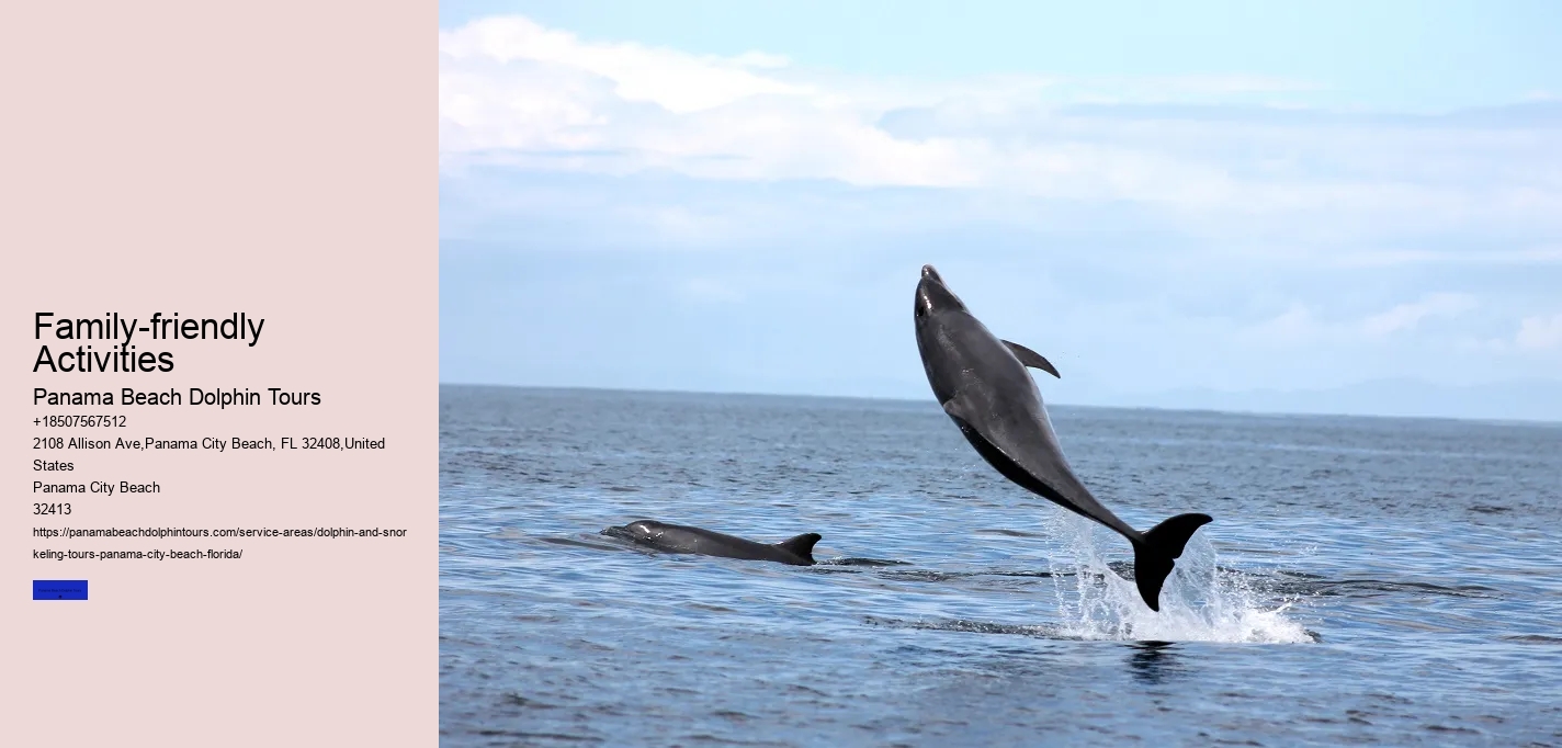 What Beach In Florida Has The Most Dolphins