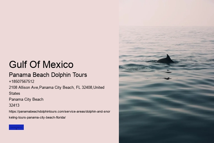 Swimming With Dolphins Is Not Safe For Your Family Nor The Dolphins