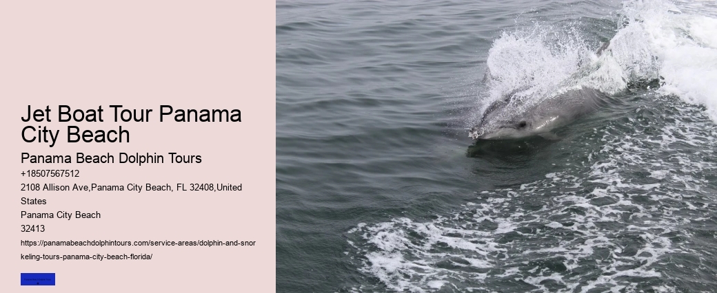 Panama City Beach Dolphin Boat Tour