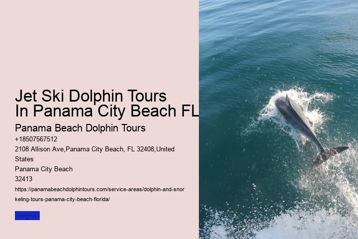 How To Spot Dolphins From Shore Or At Sea